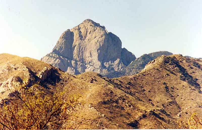 800px-baboquovari__sonoran_desert.jpg