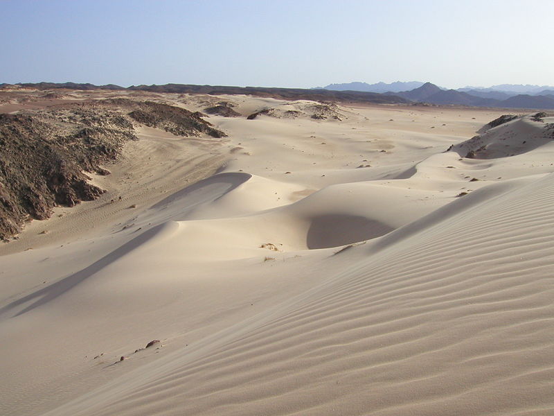 800px-desertsinai.jpg