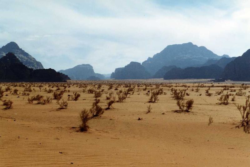 800px-jordanien_wadi_rum_02.jpg