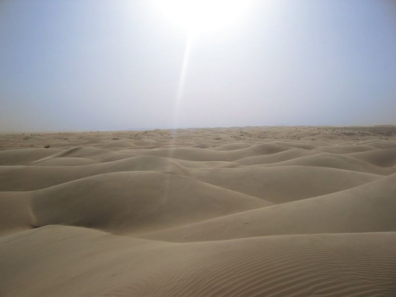 800px-sahara_desert.jpg