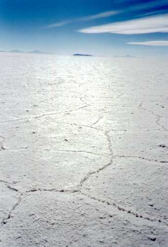 salar1.jpg