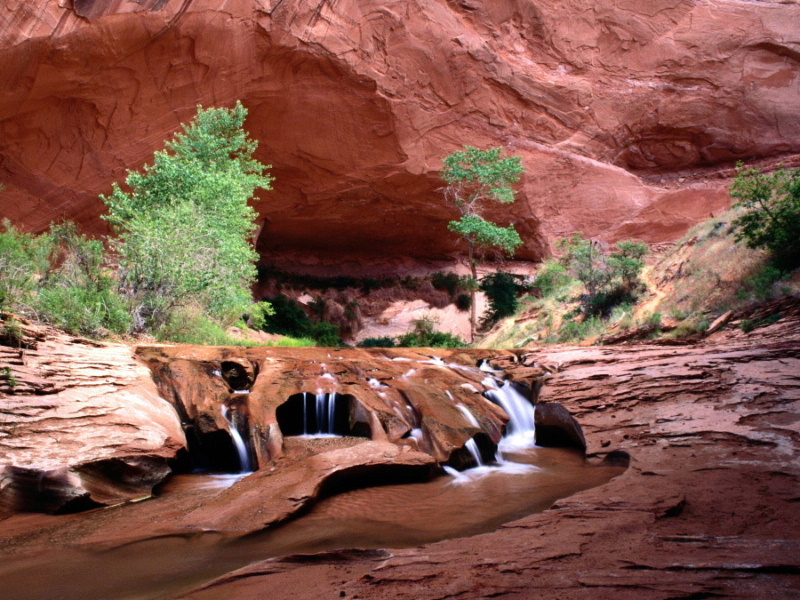 coyote_20gulch__20escalante_20river_20canyo....jpg