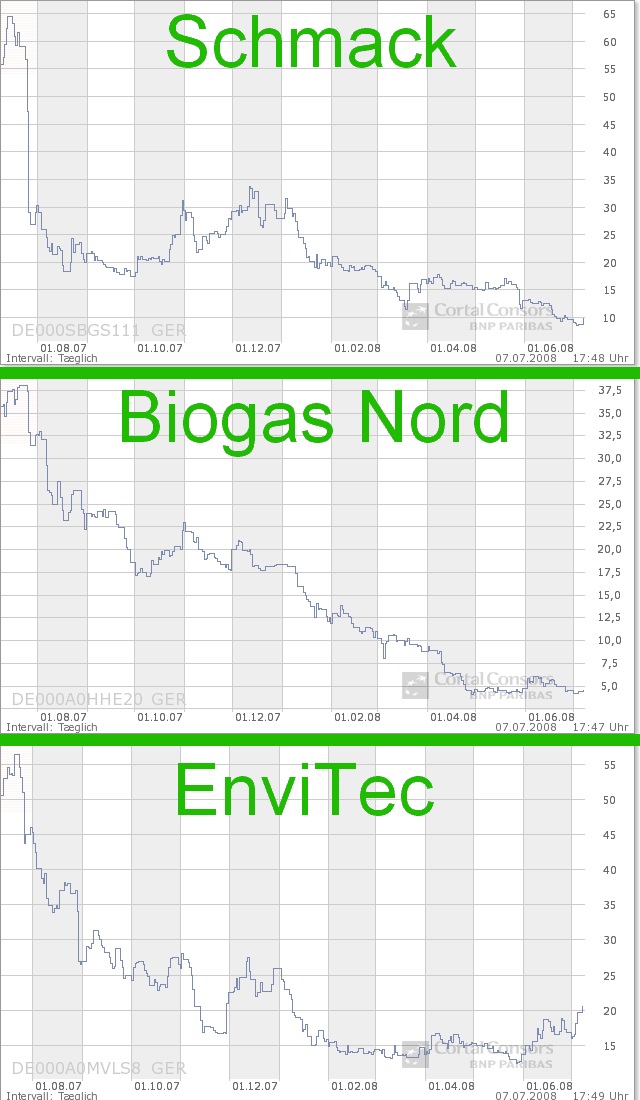 080707_biogas_12_monate_charts.jpg