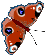 schmetterling_01.gif