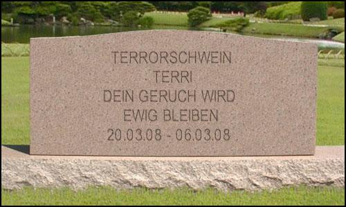 terrigrabstein.jpg