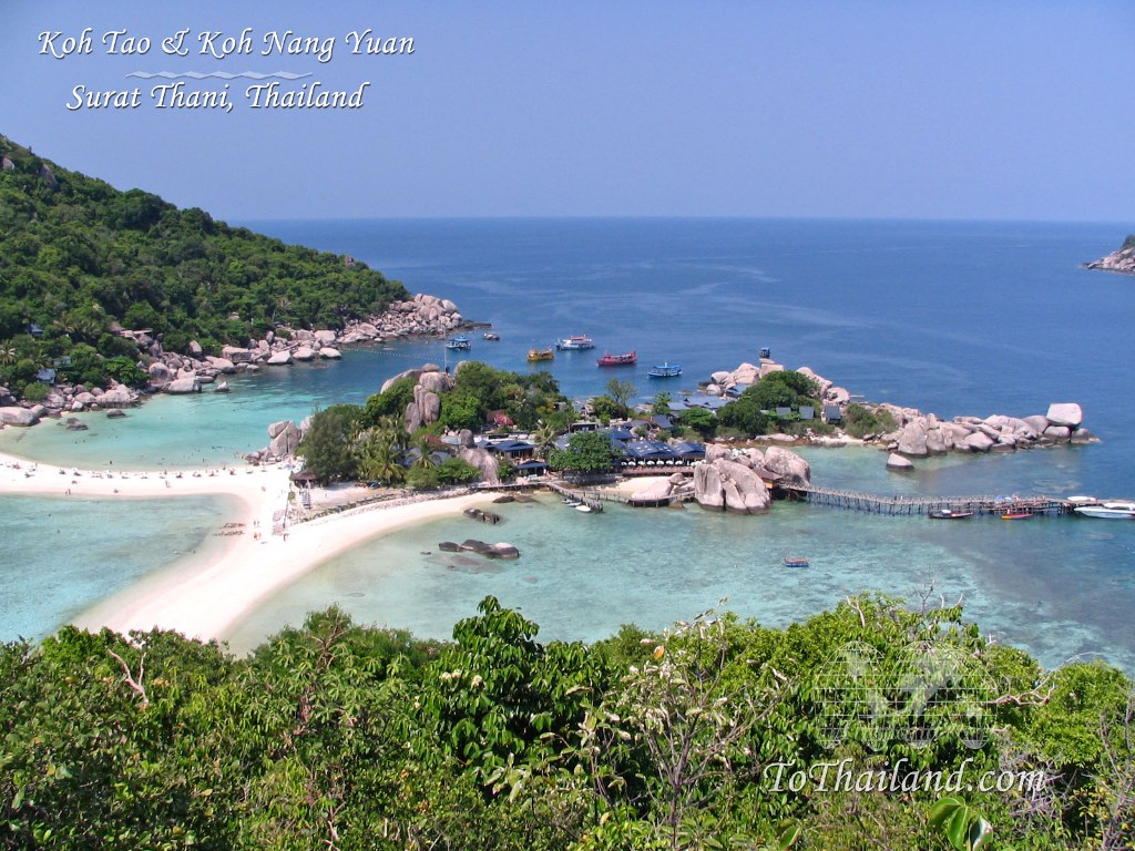 surat_wallpaper_kohtao.jpg