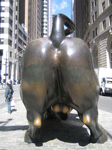 wallstreetbull_1_.jpg