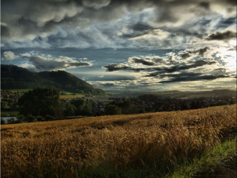 52__hdr-foto_von_justus_strauss.jpg