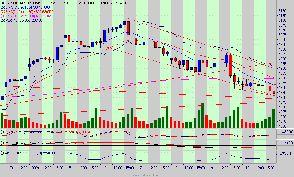 dax.gif