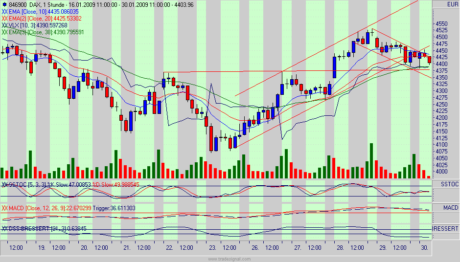 dax.gif