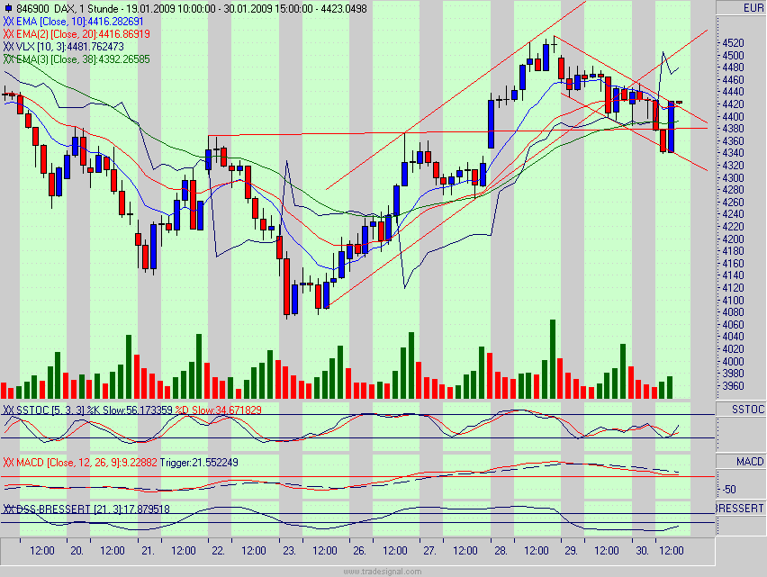 dax.gif