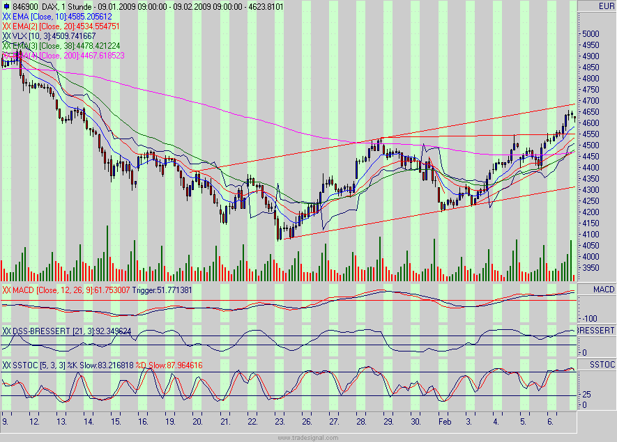 dax.gif