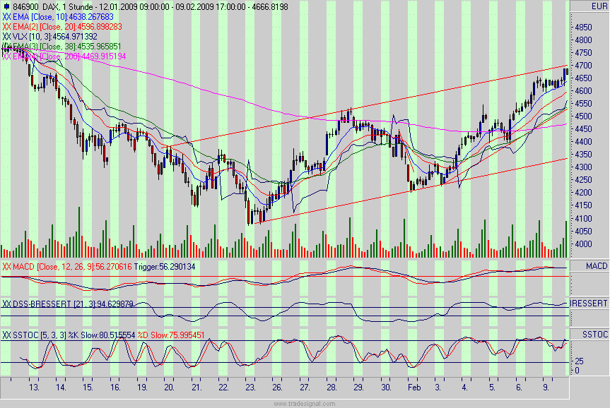 dax.gif