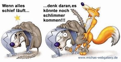 hund.jpg