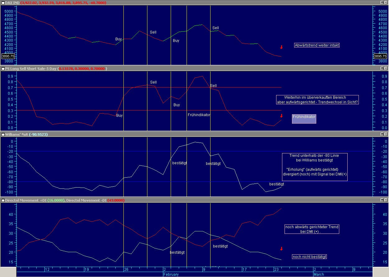 dax_24_02_09.jpg