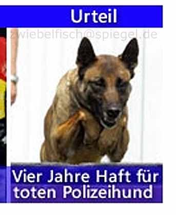 polizeihund.jpg