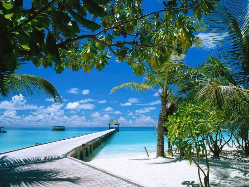 ari_atoll_maldives-.jpg