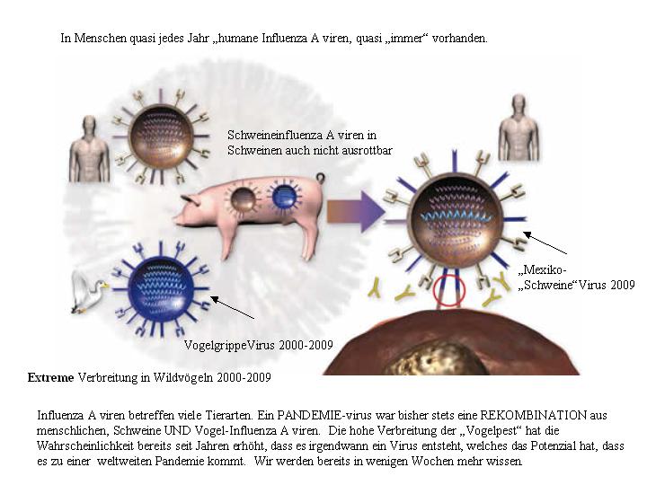 pandemievirus.jpg