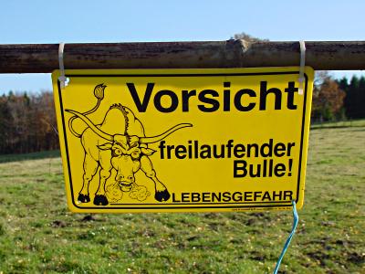 freilaufender-bulle-20031106-419.jpg