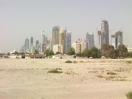 28793_555_0.jpg