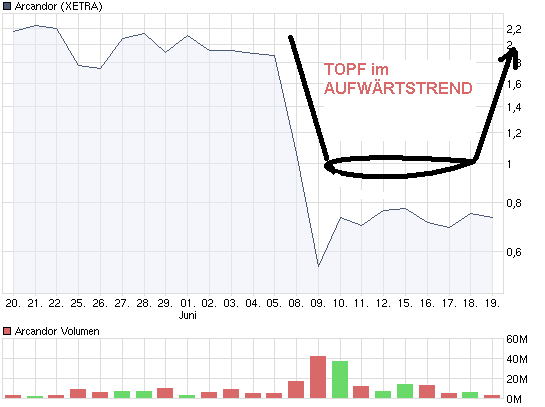 chart_month_arcandor.png