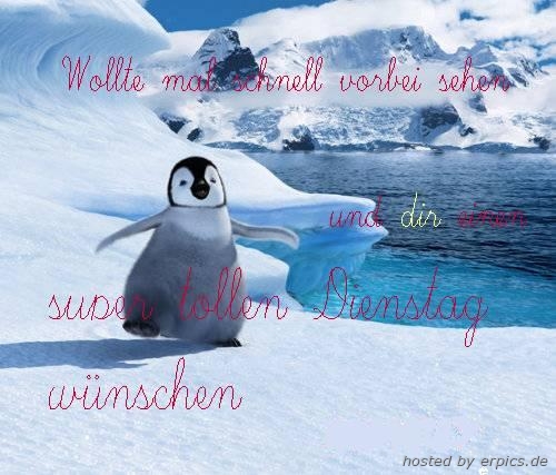 dienstag_pinguin.jpg