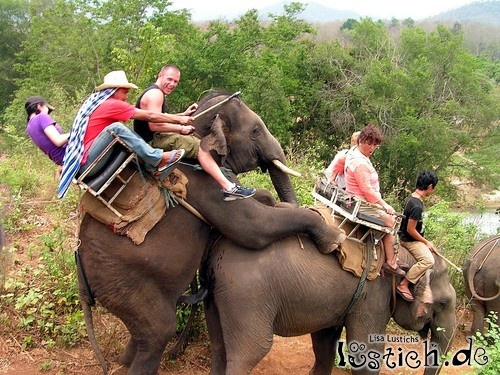 geiler-elefant-auf-safari.jpg