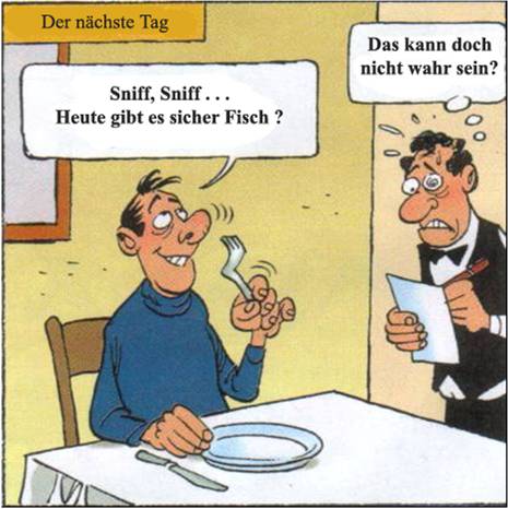 bild5.jpg