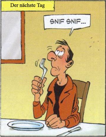 bild11.jpg