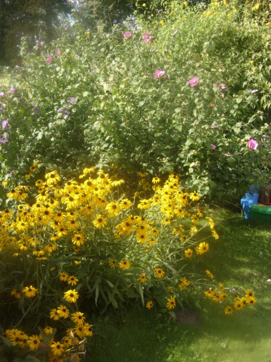 garten08095.jpg