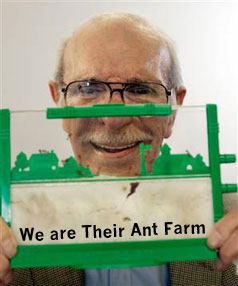 antfarm.jpg