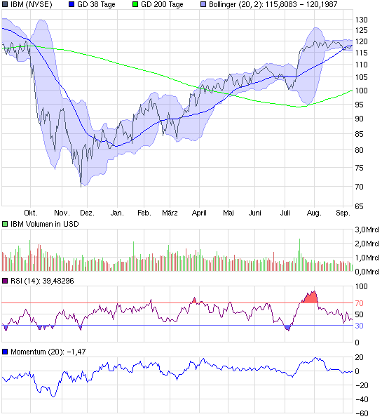 chart_year_ibm.png