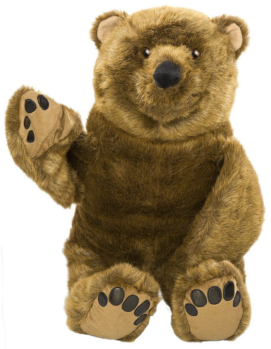 baer.jpg