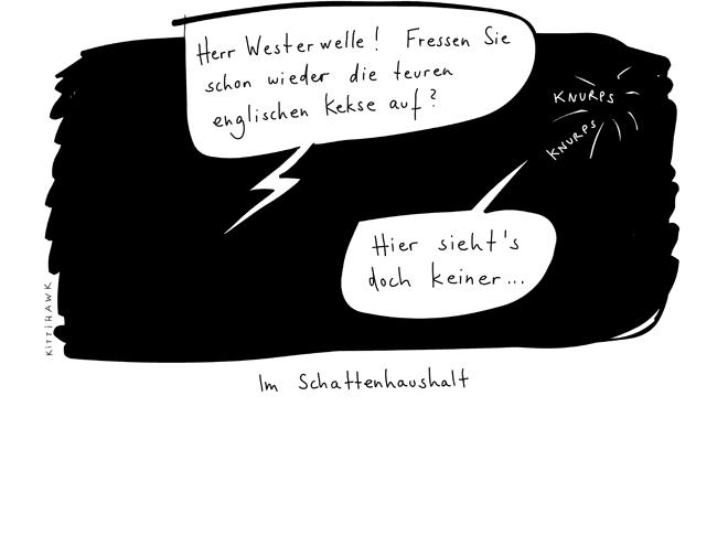 470_schattenhaushalt.jpg