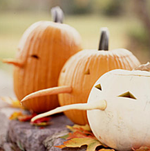 2009-11-04_131648.png