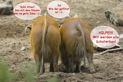 schweinische_grippe.jpg