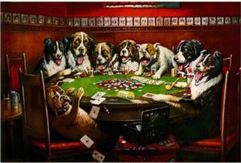 hunde1.jpg
