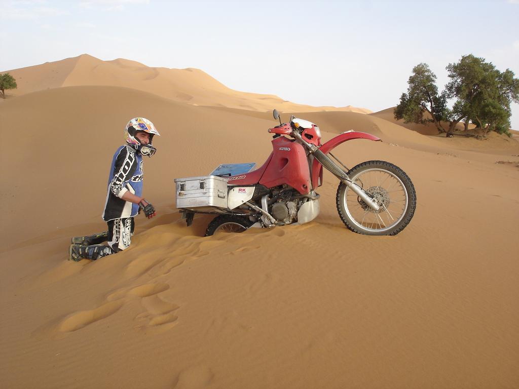 erg_chebbi_1.jpg