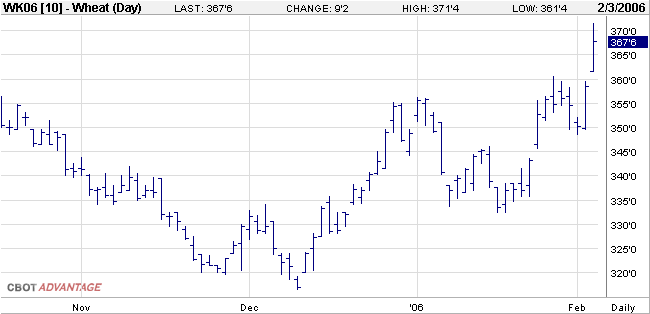 Weizenfuture_06May_20060203.png