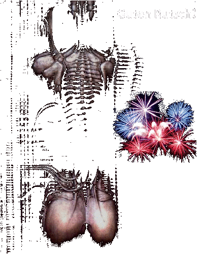 silvester.png
