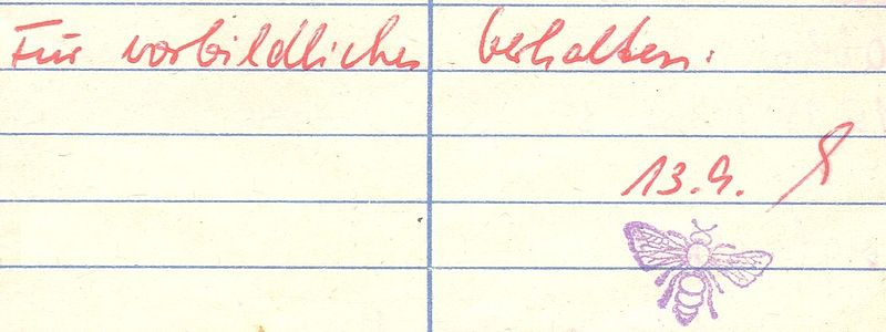 fleissbienchen.jpg