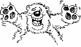 baer.jpg