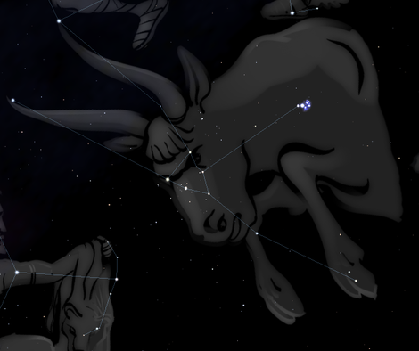 stier.png