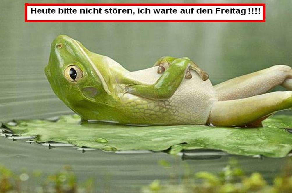 freitag.jpg