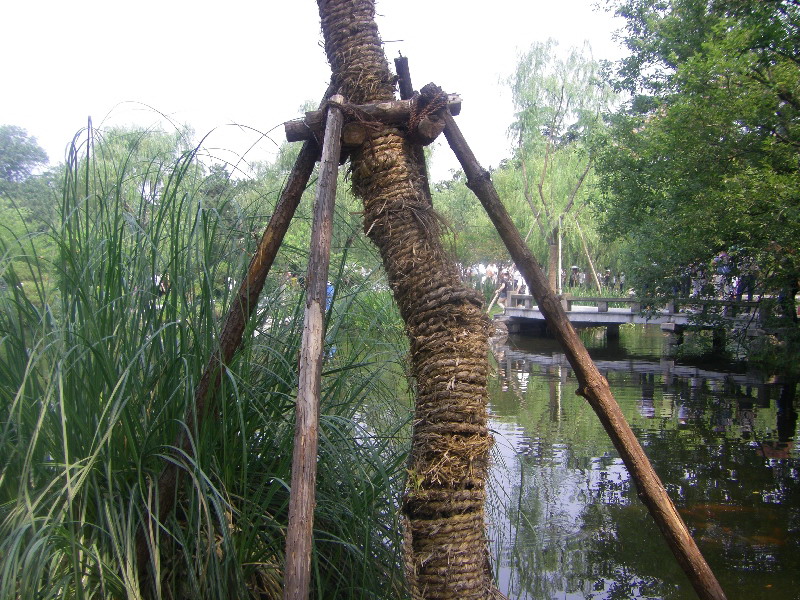 baum_bandagiert_und_gestuetzt.jpg