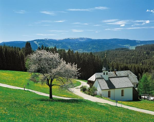 schwarzwald__heiligenbrunn.jpg