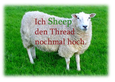 ichsheepdenthreadat7.jpg