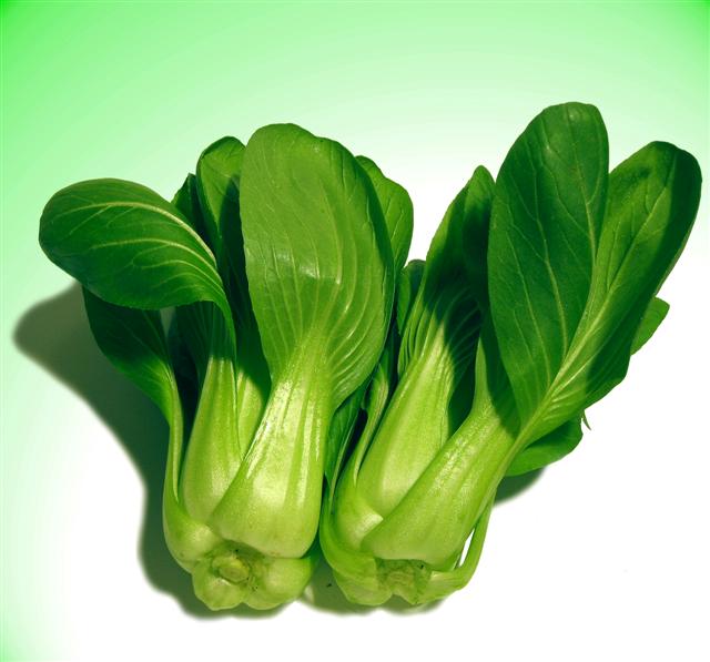 shanghai_pak_choi.jpg