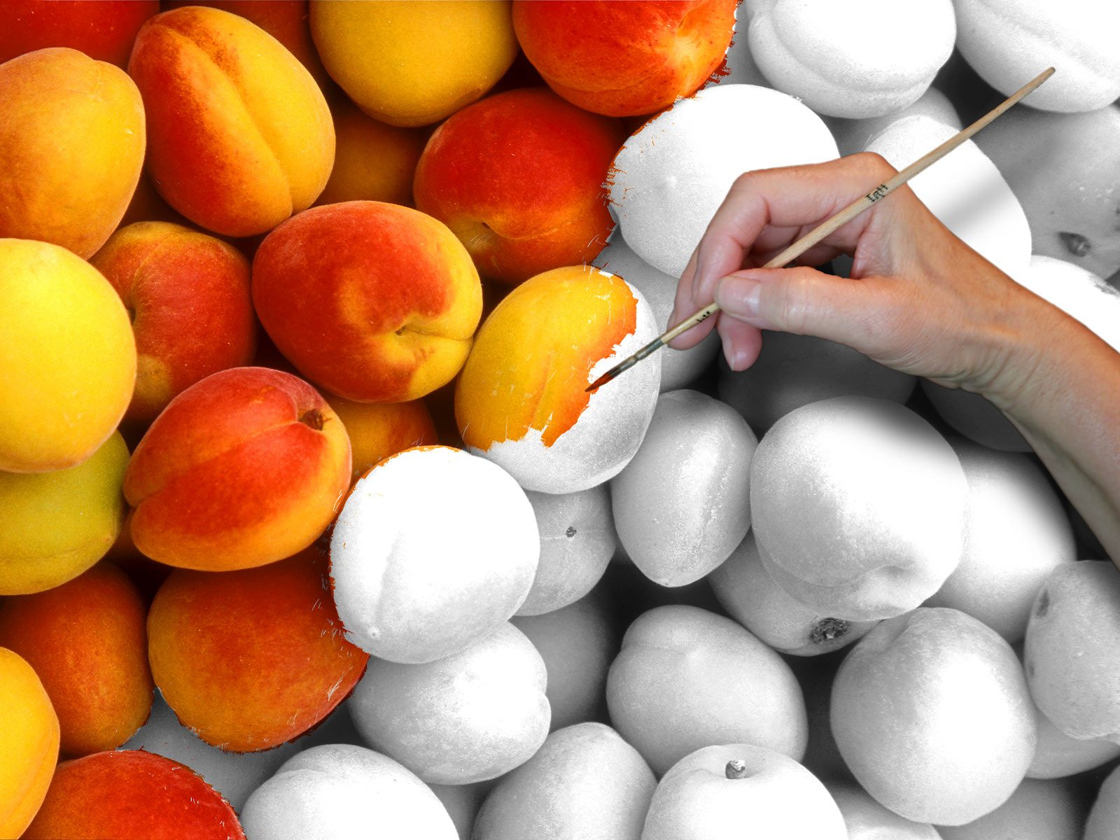 painting-peaches.jpg