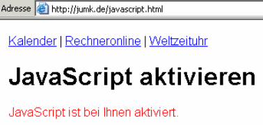 2010-10-05-mein-javascript-ist-activiert.gif